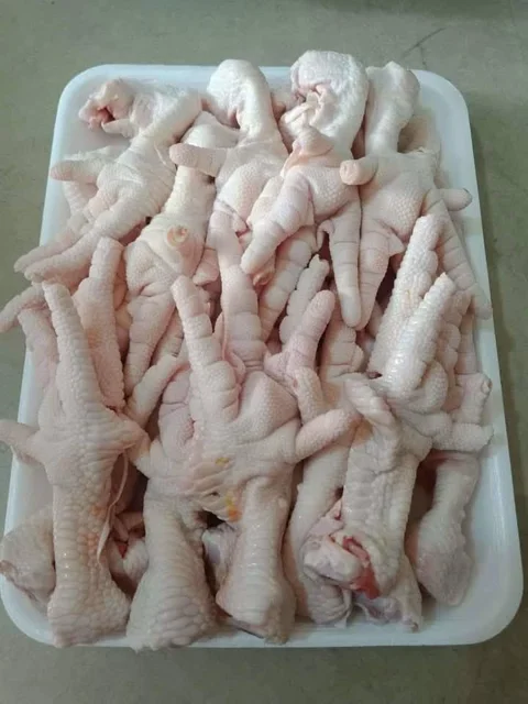 پا مرغ